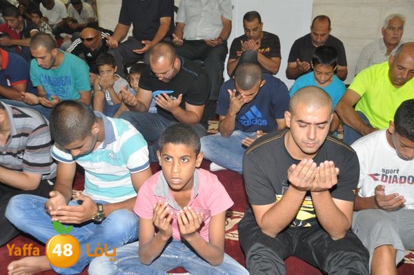 bazsalah lud 712 (26).JPG